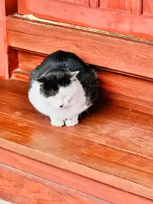 明智寺の{uncategorized: "未分類", other: "その他", undefined: "問題あり", building: "その他建物", grave: "お墓", sacred_gate: "鳥居", guardian: "狛犬", statue: "像", buddha: "仏像", history: "歴史", nature: "自然", garden: "庭園", animal: "動物", pagoda: "塔", temizu: "手水舎", mountain_gate: "山門・神門", sanctuary: "本殿・本堂", subordinate: "末社・摂社", art: "芸術", scenery: "景色", jizo: "地蔵", ema: "絵馬", goshuin: "御朱印", omikuji: "おみくじ", items: "授与品その他", amulet: "お守り", goshuincho: "御朱印帳", eats: "食事", festival: "お祭り", votive_dance: "神楽", shichigosan: "七五三参", wedding: "結婚式", experience: "体験その他", initially: "初詣", around: "周辺", anti_infection: "感染症対策"}