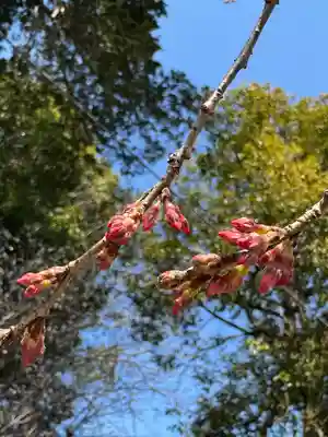 賀茂別雷神社(栃木県)