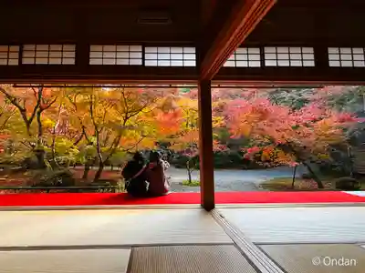 圓光寺(京都府)