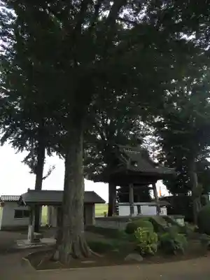 常敬寺のその他建物