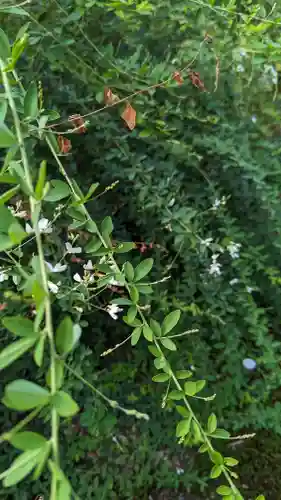 法華寺(京都府)
