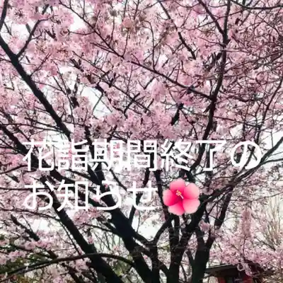 彌彦神社 (伊夜日子神社)の体験その他