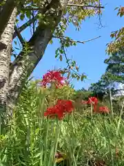 神吉八幡神社の自然