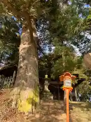 狐田稲荷神社(福島県)