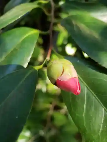 渋谷氷川神社(東京都)