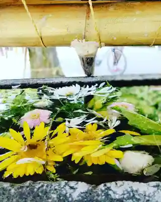 鳩森八幡神社の手水舎