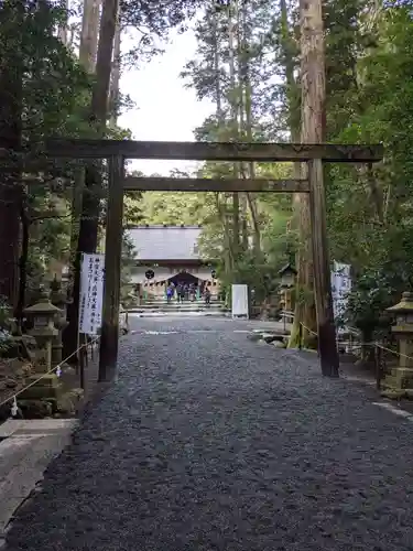 椿大神社の鳥居