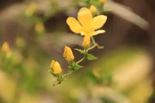 立鉾鹿島神社の自然