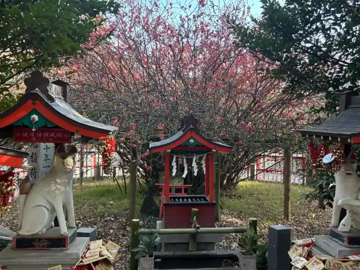 冠稲荷神社の{uncategorized: "未分類", other: "その他", undefined: "問題あり", building: "その他建物", grave: "お墓", sacred_gate: "鳥居", guardian: "狛犬", statue: "像", buddha: "仏像", history: "歴史", nature: "自然", garden: "庭園", animal: "動物", pagoda: "塔", temizu: "手水舎", mountain_gate: "山門・神門", sanctuary: "本殿・本堂", subordinate: "末社・摂社", art: "芸術", scenery: "景色", jizo: "地蔵", ema: "絵馬", goshuin: "御朱印", omikuji: "おみくじ", items: "授与品その他", amulet: "お守り", goshuincho: "御朱印帳", eats: "食事", festival: "お祭り", votive_dance: "神楽", shichigosan: "七五三参", wedding: "結婚式", experience: "体験その他", initially: "初詣", around: "周辺", anti_infection: "感染症対策"}