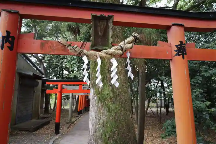 立木神社(滋賀県)