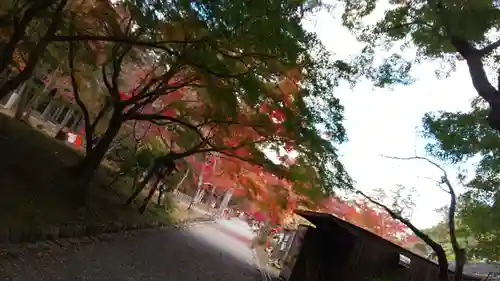 大原野神社の自然