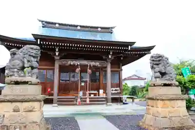 熊野福藏神社の狛犬