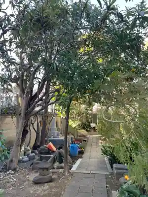 長元寺の{uncategorized: "未分類", other: "その他", undefined: "問題あり", building: "その他建物", grave: "お墓", sacred_gate: "鳥居", guardian: "狛犬", statue: "像", buddha: "仏像", history: "歴史", nature: "自然", garden: "庭園", animal: "動物", pagoda: "塔", temizu: "手水舎", mountain_gate: "山門・神門", sanctuary: "本殿・本堂", subordinate: "末社・摂社", art: "芸術", scenery: "景色", jizo: "地蔵", ema: "絵馬", goshuin: "御朱印", omikuji: "おみくじ", items: "授与品その他", amulet: "お守り", goshuincho: "御朱印帳", eats: "食事", festival: "お祭り", votive_dance: "神楽", shichigosan: "七五三参", wedding: "結婚式", experience: "体験その他", initially: "初詣", around: "周辺", anti_infection: "感染症対策"}