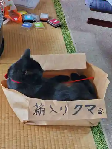 高司神社〜むすびの神の鎮まる社〜(福島県)
