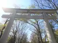 大國魂神社の鳥居