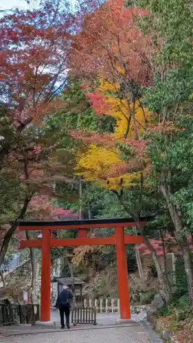 吉田神社(京都府)