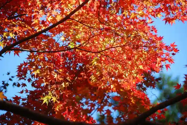 長門湯本豊川稲荷(山口県)