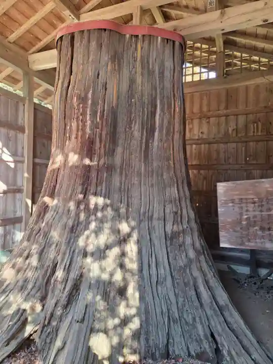 常陸二ノ宮 静神社(茨城県)