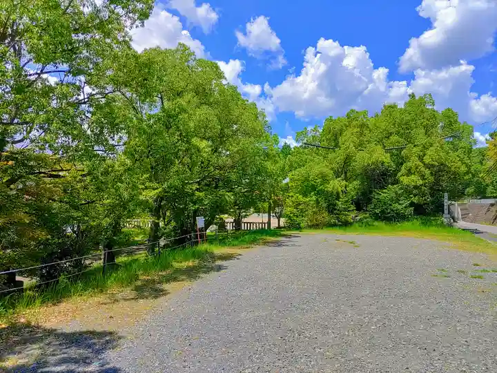 八幡神社(吉根南)の自然