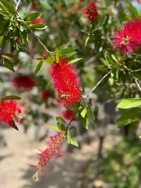 松尾大社(京都府)