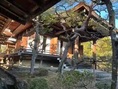 仁和寺(京都府)