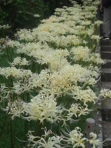 横浜　西方寺(神奈川県)