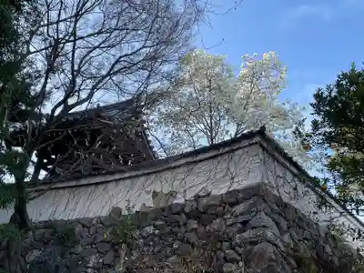招善寺(京都府)