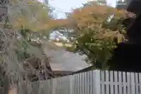 伊勢山皇大神宮(神奈川県)