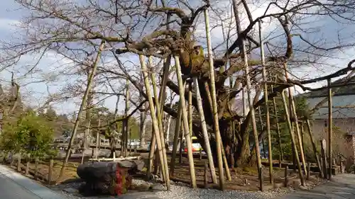 輪王寺(栃木県)