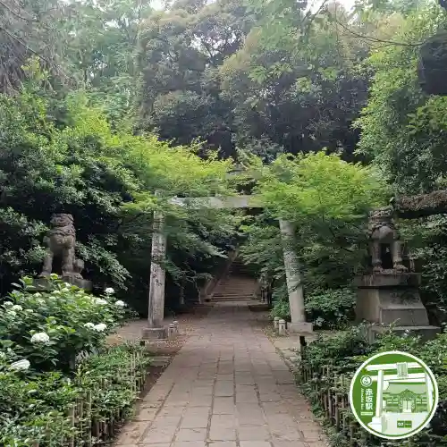 赤坂氷川神社(東京都)