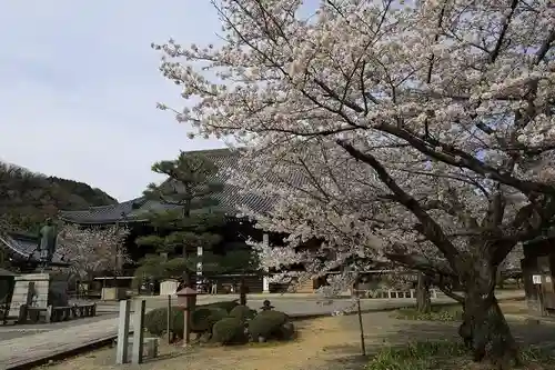 光明寺（粟生光明寺）(京都府)