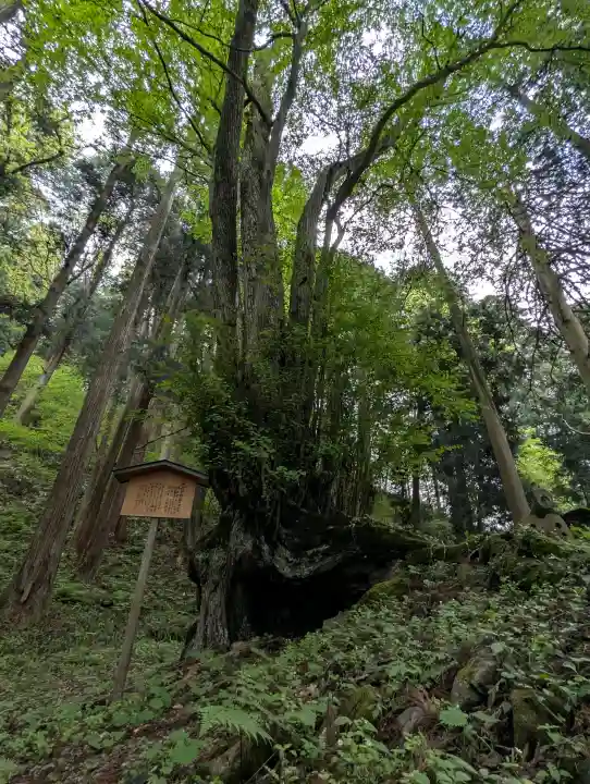 飛驒一宮水無神社(岐阜県)
