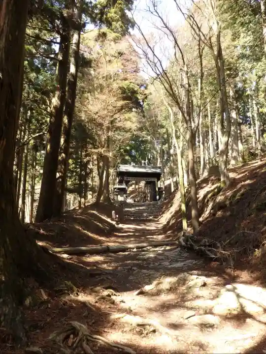 愛宕神社の{uncategorized: "未分類", other: "その他", undefined: "問題あり", building: "その他建物", grave: "お墓", sacred_gate: "鳥居", guardian: "狛犬", statue: "像", buddha: "仏像", history: "歴史", nature: "自然", garden: "庭園", animal: "動物", pagoda: "塔", temizu: "手水舎", mountain_gate: "山門・神門", sanctuary: "本殿・本堂", subordinate: "末社・摂社", art: "芸術", scenery: "景色", jizo: "地蔵", ema: "絵馬", goshuin: "御朱印", omikuji: "おみくじ", items: "授与品その他", amulet: "お守り", goshuincho: "御朱印帳", eats: "食事", festival: "お祭り", votive_dance: "神楽", shichigosan: "七五三参", wedding: "結婚式", experience: "体験その他", initially: "初詣", around: "周辺", anti_infection: "感染症対策"}