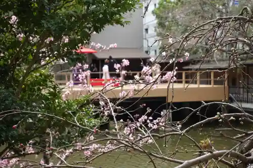 生田神社の結婚式