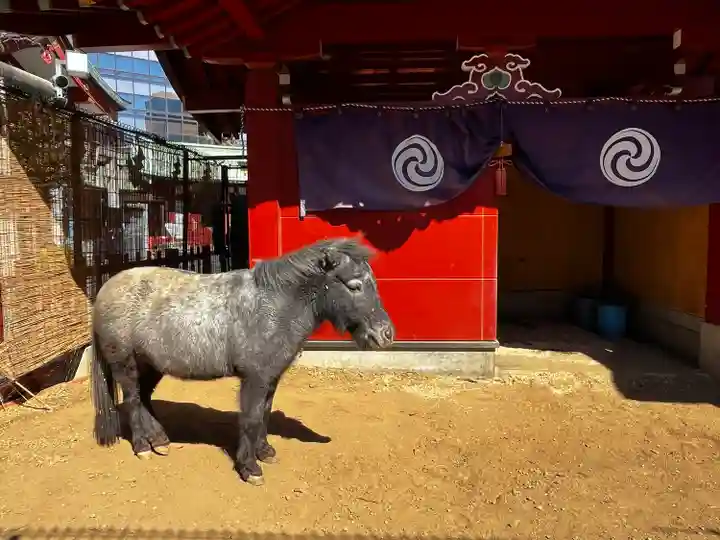 神田神社(神田明神)の動物