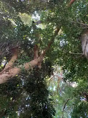 五良神社(千葉県)