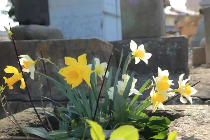 熊野福藏神社の手水舎