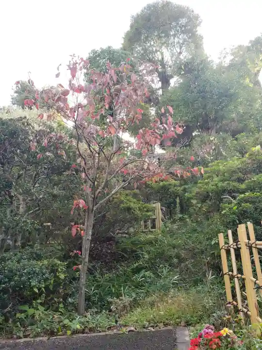 白金氷川神社(東京都)
