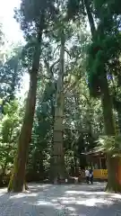 高千穂神社の建物その他