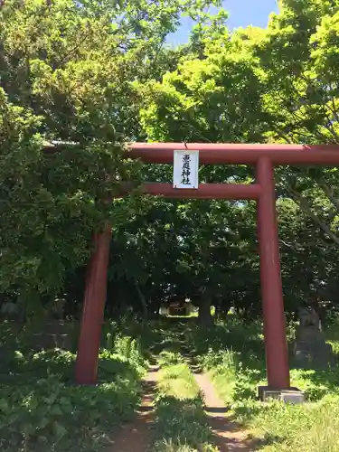 恵庭神社の鳥居