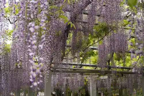 三大神社(滋賀県)