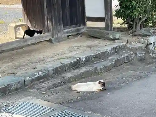 成身院　百体観音堂（さざえ堂）(埼玉県)