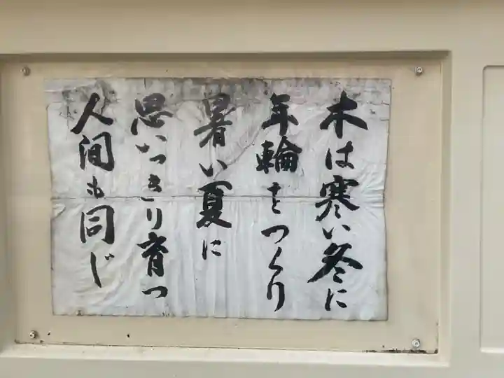 大運寺(愛知県)