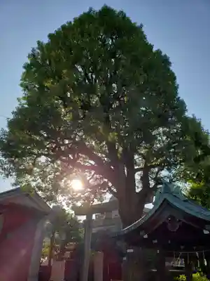 麻布氷川神社(東京都)
