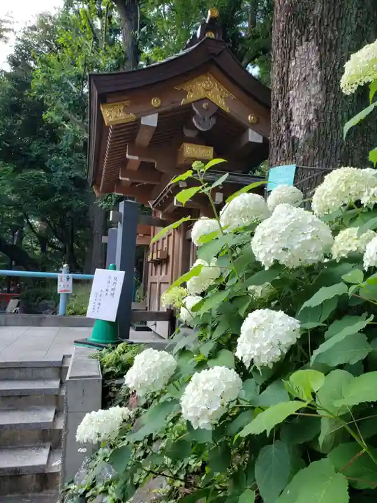 熊野神社の自然