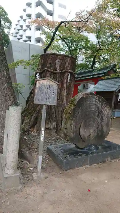 生田神社の自然