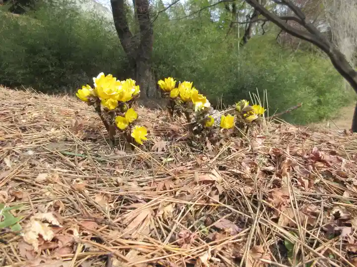 妙義神社の自然