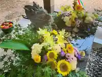 滑川神社 - 仕事と子どもの守り神の手水舎