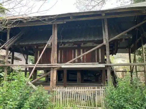 般若寺 ❁﻿コスモス寺❁(奈良県)