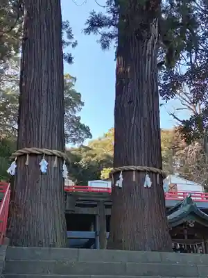 八幡朝見神社(大分県)